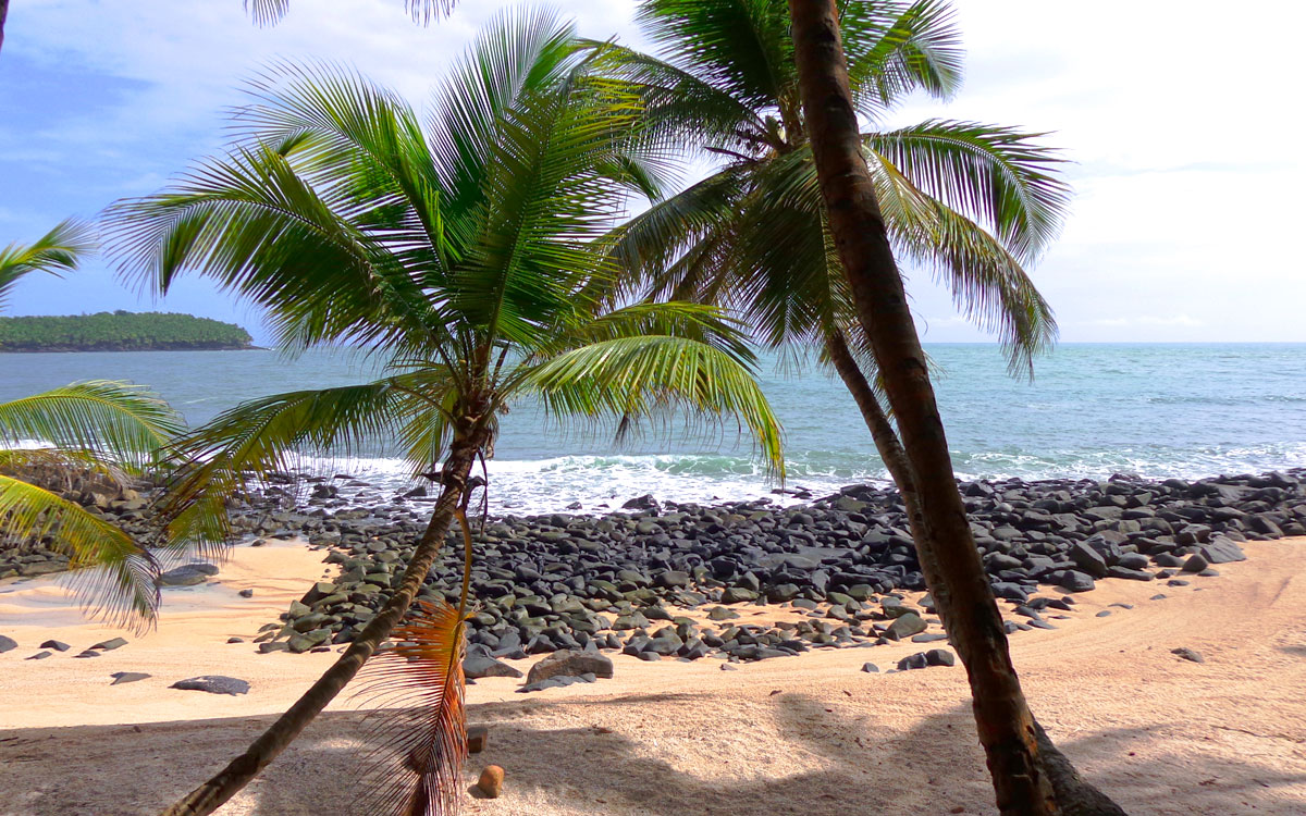 Yaplus pêche en mer kourou guyane