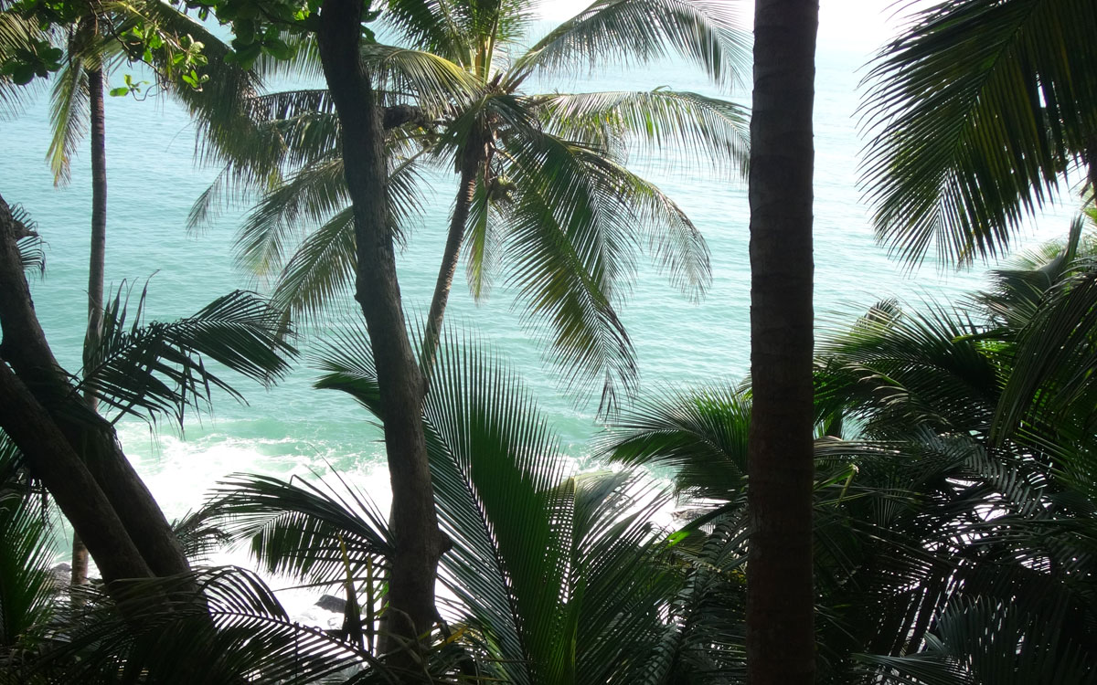 Yaplus pêche en mer kourou guyane